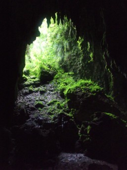 cueva Catedral, Camuy, Puerto Rico